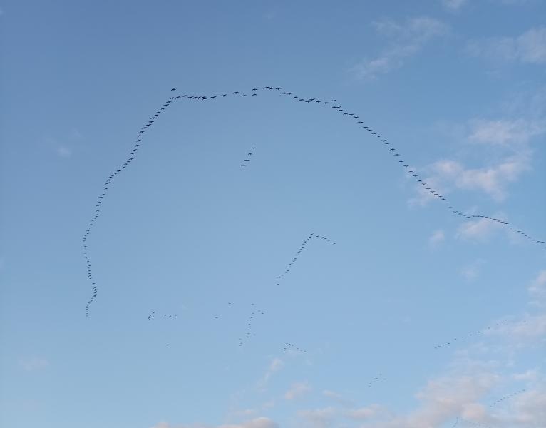 В Рязанской области ожидается тёплый день